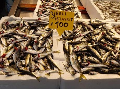 Av yasağına sayılı günler kala tezgahlarda balık bolluğu