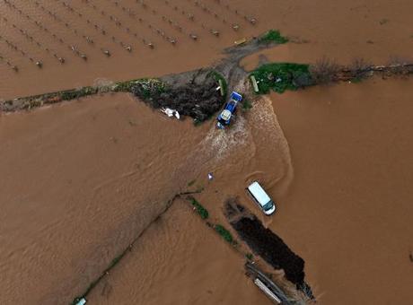 Sel alarmı! Gediz Nehri taştı; tarım arazileri, bahçeler sulara gömüldü