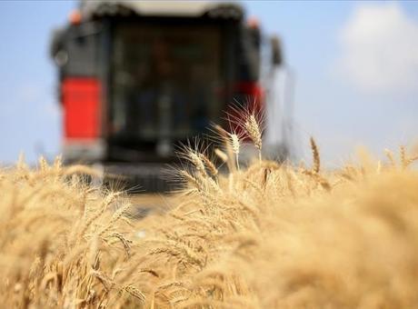 Orta Doğu gerilimi tarım emtia fiyatlarını yukarı taşıdı