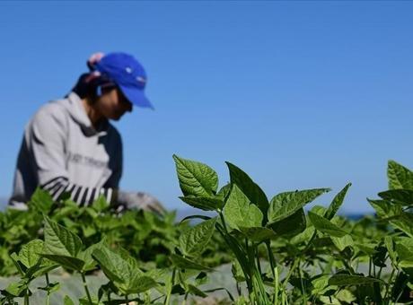 Gıda ve çevre konulu uluslararası projelere destek sağlanacak
