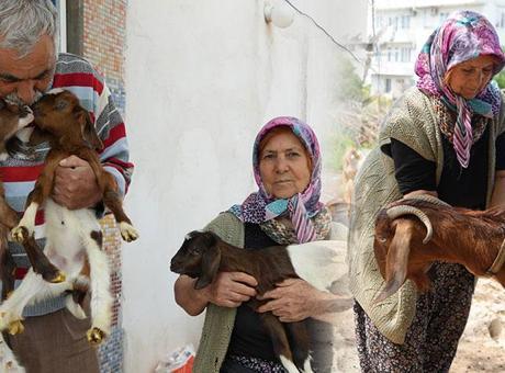 Yardım ettiği komşusu tarafından şikayet edildi! Bütün mahalleyi yakan karar: Bir senelik emeği boşuna gitti