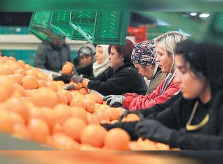 İhracatta kadınlar yüzde 23.5 pay aldı