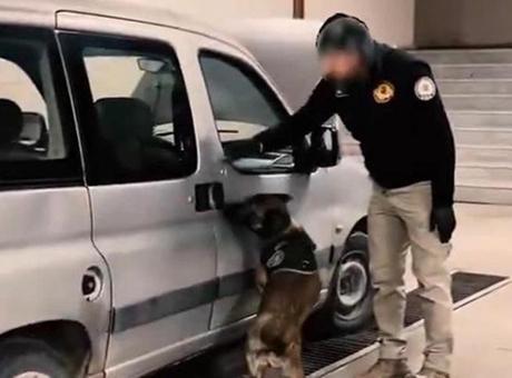 Narkotik köpeği yine yanılmadı! Direksiyon aksamından uyuşturucu çıktı