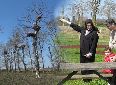 Bu görüntüler Türkiye’den! 7 bin kilometrelik yolculuk bitti tam 5 ay buradalar