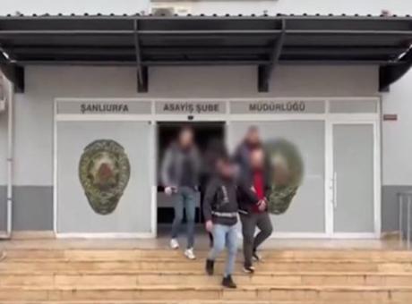 17 ilde dev dolandırıcılık operasyonu: 180 şüpheli yakalandı