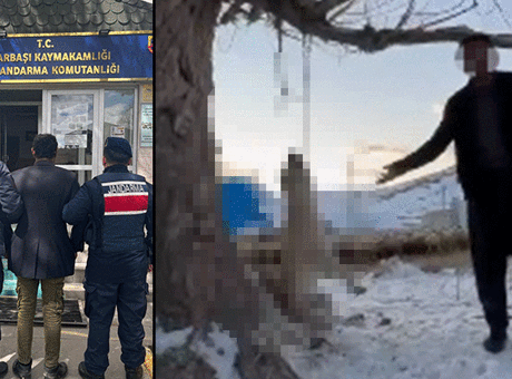 Kayseri'de akılalmaz görüntü! 'Böyle köpek mi öldürülür?'