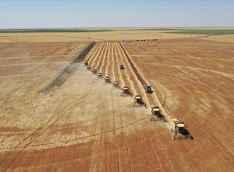 Toprağın korunması için arazi kullanım planları hazırlanacak