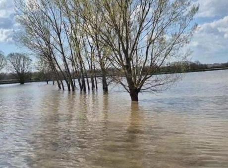 Edirne’de şiddetli yağmur: Meriç Nehri taştı, sular yollara ulaştı