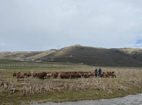 120 bin TL maaşla çalışacak eleman yok! 'Zor ve emek isteyen bir iş, kimse yapmak istemiyor'