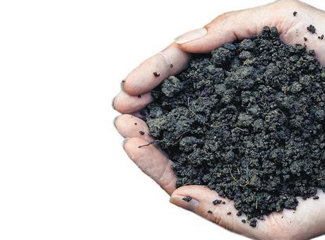 Gübre ithalatında iki ülke radarda