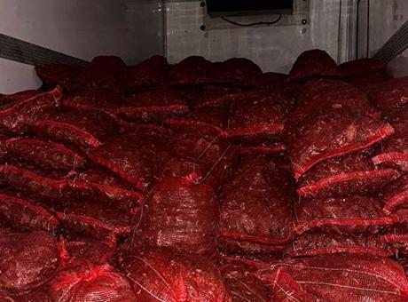 10 tonluk tehlike! Sofralara gidecekti, son anda yakalandı