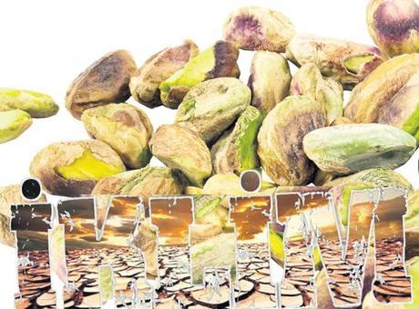 Savaş var ama asıl sorun İKLİM