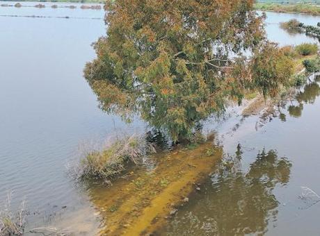 Suyu kirletene hapis yolda