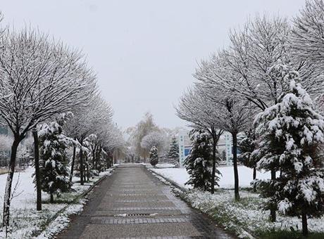 Fotoğraflar bugün çekildi! Mayıs ayında kar sürprizi... Kent merkezi bembeyaz