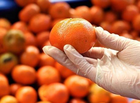 Mersin, turunçgil ihracatında zirvede yer aldı