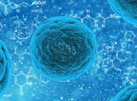 Hantavirüs'ün ardından Norovirüs kabusu! Lüks gemide 1 kişi öldü, 1700 kişi karantinada