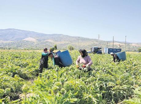 Suyu verimli kullanan tarımda kazanacak