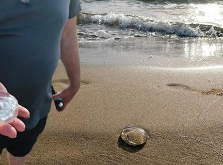 Kuşadası ve Selçuk arasında sıra dışı görüntü! Nedeni ortaya çıktı