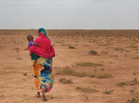 İsrail'in Somaliland'da 50 personele askeri eğitim verdiği ortaya çıktı! 'Büyütülecek bir durum değil'
