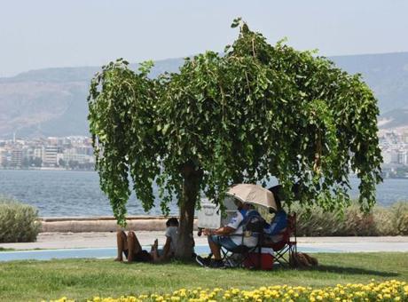 Uzmanlardan korkutan yaz uyarısı! Temmuzdan sonra hiç görülm