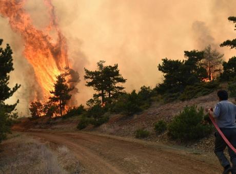 Ateş yakana ağır ceza! Eskişehir ve Afyonkarahisar'da orman 