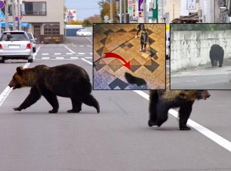 Şehir merkezine indi, tam 94 okul birden kapatıldı! Japonya'