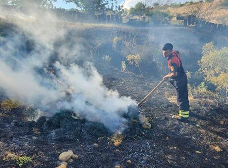 Siirt'te alevler fıstık bahçesini sardı! Dakikalar içinde za