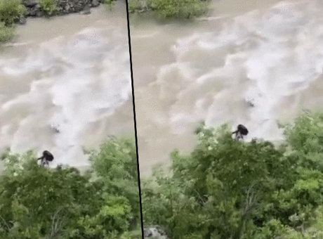 Otomobil Çoruh Nehri'ne düştü: Baba ile oğlu aranıyor
