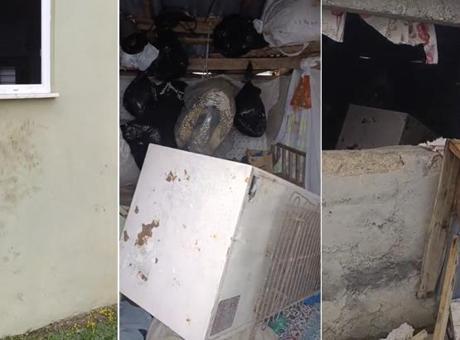Rize Çamlıhemşin'de ayı paniği: 20 eve girdi, yayla sakinleri canından bezdi