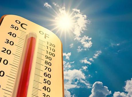 Avrupa sıcaktan kavruluyor! Can kaybı artıyor: Alarm verildi
