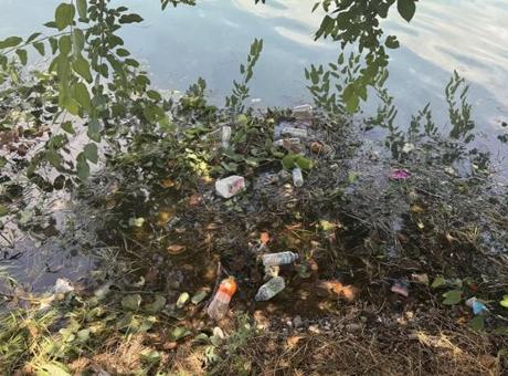 Adana'nın kalbindeki görüntü tepki çekti! Turistler gördüklerine inanamadı