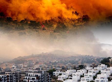 SON DAKİKA YANGIN HABERLERİ: İzmir'de korkutan yangın! İşte son durum