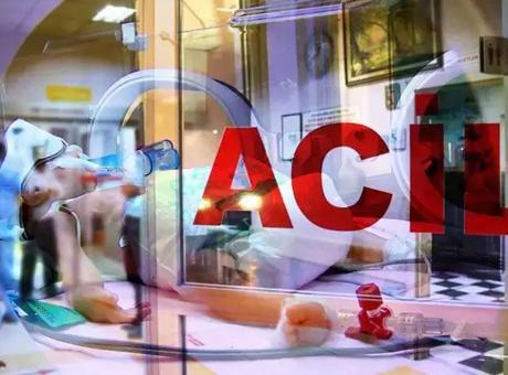 Yalova'da feci olay! Baba ile oğlu elektrik akımına kapılarak hayatını kaybetti
