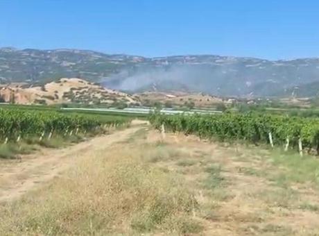 Manisa'da orman yangını! Havadan karadan müdahale başladı