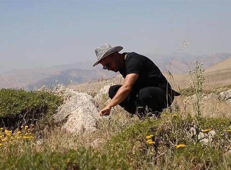 Dünyada sadece 300 metrekarede! Türkiye'de araçların giremediği bölgede korunan hazine