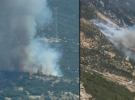 Son dakika… İzmir'de orman yangını! Müdahale başladı