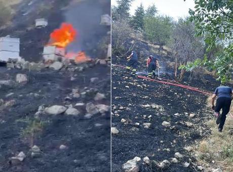 İtfaiyecilere arılar saldırdı! Isparta'daki yangında ekiplerin zorlu mücadelesi
