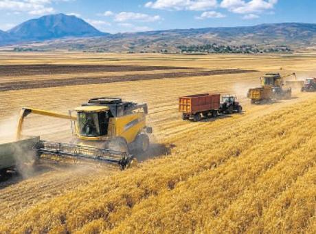 İçeride TMO desteği, dışarıda ‘Karadeniz’ krizi fiyatı artırıyor! Buğdayda rekor karşılık buldu
