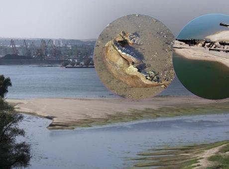 Tuna Nehri'nin sırları güz yüzüne çıktı! Yüzyıllardır saklı kaldılar Tuna Nehri'nin sırları güz yüzüne çıktı! Yüzyıllardır saklı kaldılar