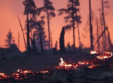 Almanya alevlerle mücadele ediyor! Bin 800 kişi tahliye ediliyor