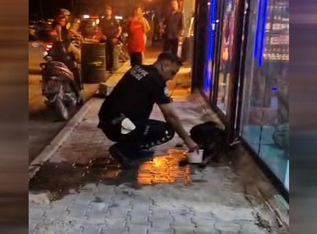 Hatay'da sokak köpeğini av tüfeğiyle yaralayan şüpheli gözaltına alındı
