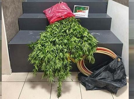 İzmir Konak’ta uyuşturucu operasyonu! 1 kişi tutuklandı