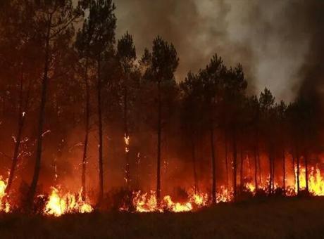 52 gün sürmüştü: Sırbistan'daki orman yangını söndürüldü 52 gün sürmüştü: Sırbistan'daki orman yangını söndürüldü