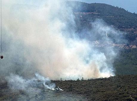 Bodrum'da orman yangını! Havadan karadan müdahale