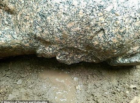 Tarlasındaki taşın altından servet çıktı! 'Tam 8.5 metre boyunda'