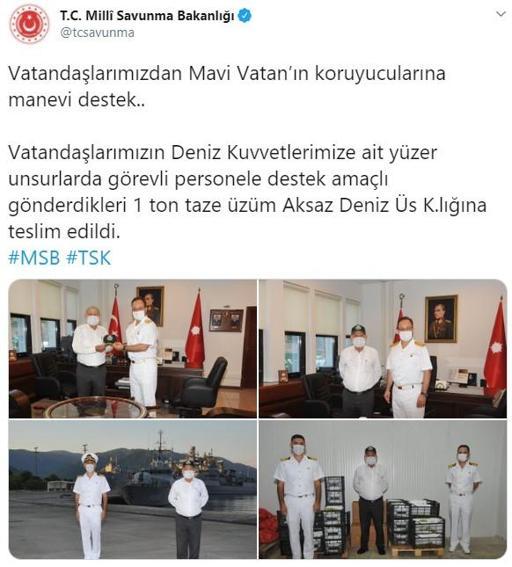 MSB: Vatandaşlarımızın gönderdiği 1 ton üzüm, teslim edildi