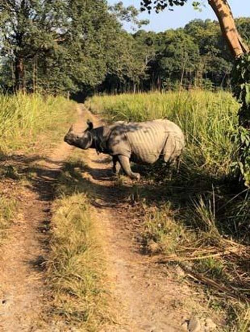 Yol sadece 148km ancak yolculuk 7 saat sürüyor. Turist otobüsleri sabah yedide Katmandu’dan kalkıyor. Şehrin karmaşasına uygun bir şekilde bütün firmalar aynı saatte ve aynı yerden hareket ediyor.