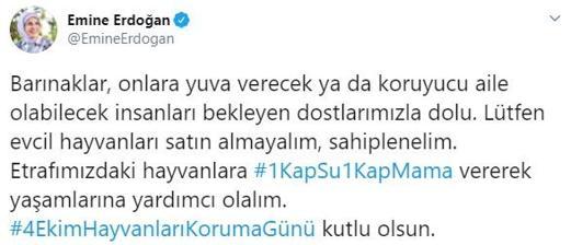 Emine Erdoğan, engelli köpek Leblebiyi sahiplendi