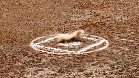 Savunmada gövde gösterisi! ASELSAN 'sadece 1 hafta içinde' diyerek görüntüleri paylaştı! İşte 5 gözde ürün...