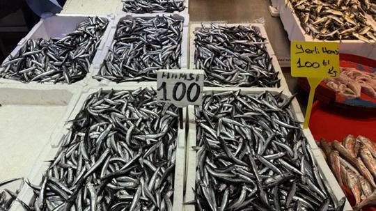 Trabzon'da hamsi ve istavrit 100 liradan satılıyor